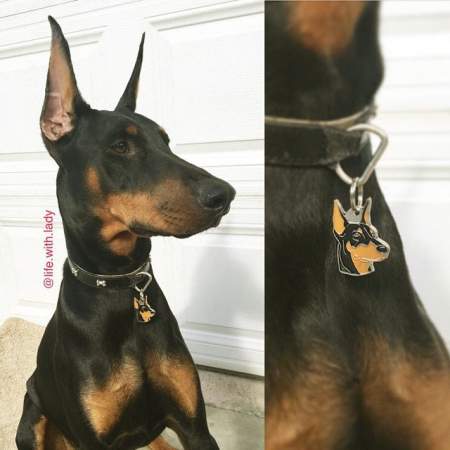Medaglietta per cani personalizzata Dobermann